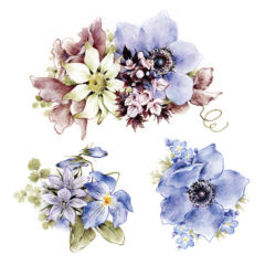 転写シールの貼り方③