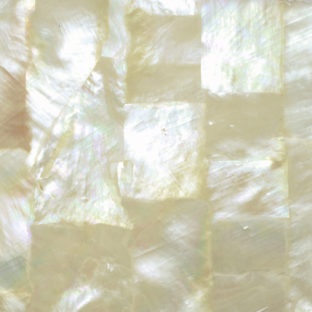 532-6054 らでんシート S  黄蝶貝