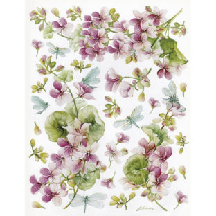 7852-7104 Pt クラッシックペーパー    104