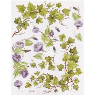 7852-7046 Pt クラッシックペーパー    046