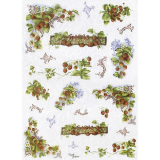 7855-5022 Pt ライスペーパー          5022