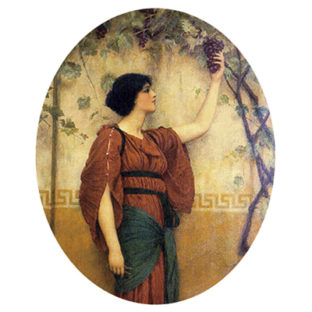 2000-1047 Pt シルクプリントSサイズ