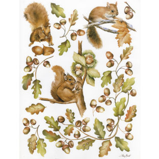 7852-7072 Pt クラッシックペーパー    072