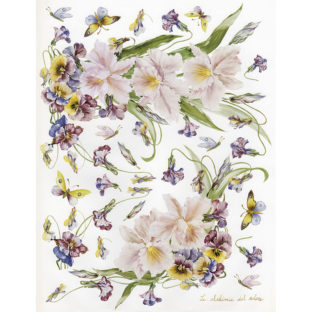 7852-7087 Pt クラッシックペーパー    087