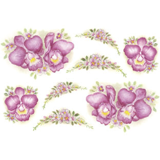 7241-0508 Pt 野又典子デザイン トランスシール