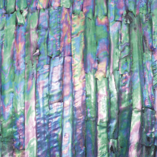 532-6061 らでんシート S  サザエ/ブラック