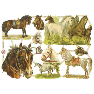 366-7236 Pt カットアウトプリント