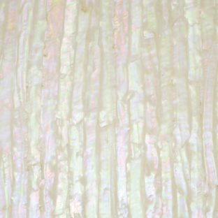 532-6001 らでんシート L  サザエ