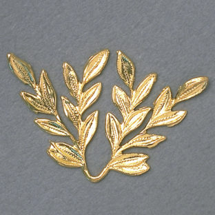 312-5038 カザリ カナグ リーフ   1ヶ入