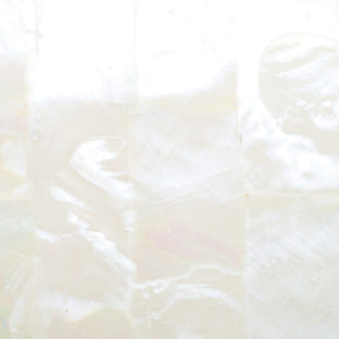 532-6053 らでんシート S  白蝶貝