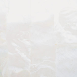 532-6056 らでんシート S  淡水真珠貝