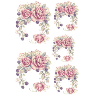 7247-2522 Pt Rikaデザイン トランスファーシール