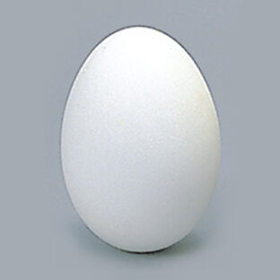 300-0313 グースエッグ XL