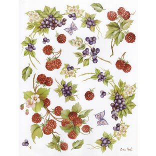 7852-7055 Pt クラッシックペーパー    055