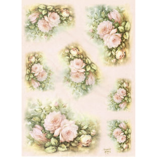 7855-7717 Pt ライスペーパー        AM7717