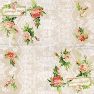 362-0347 ペーパーナプキン 5枚入