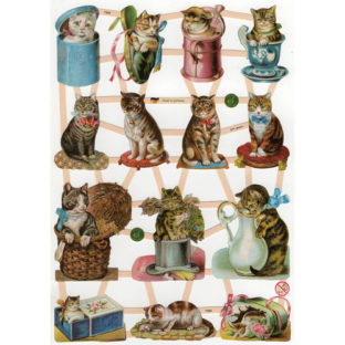 366-7360 カットアウトプリント