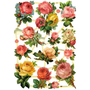 366-7448 カットアウトプリント