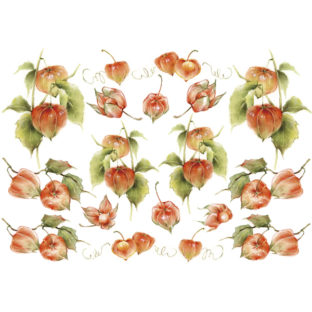 7196-1042 Pt 佐々木恵美 トランスシール 42