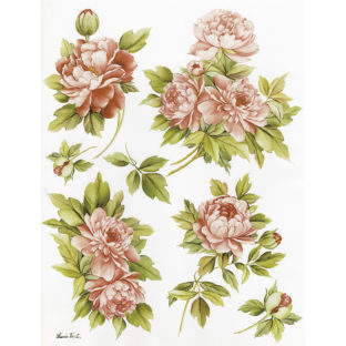 7852-7042 Pt クラッシックペーパー    042