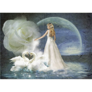 7855-5239 Pt ライスペーパー          5239