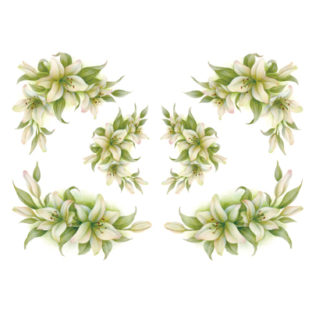 7247-2502 Pt Rikaデザイン トランスファーシール