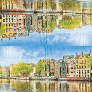 362-0332 Pt ペーパーナプキン  5枚入