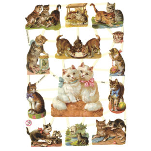 366-7245 Pt カットアウトプリント