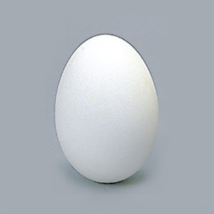 300-0311 グースエッグ R