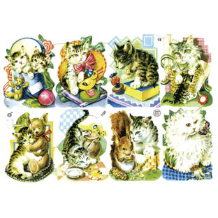 366-7120 Pt カットアウトプリント