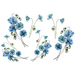 7196-1021 Pt 佐々木恵美 トランスシール 21