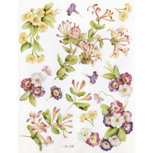 7852-7043 Pt クラッシックペーパー    043