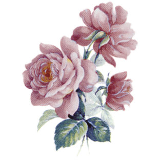 7060-6325 Pt トランスファープリント TPDー325A