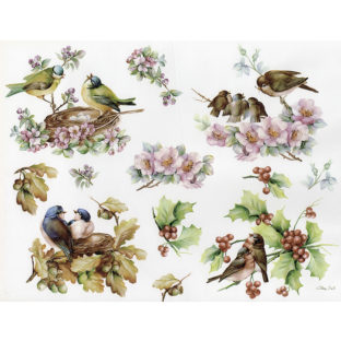 7852-7019 Pt クラッシックペーパー    019