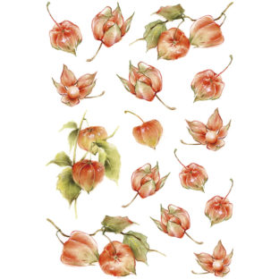 7196-1107 Pt 佐々木恵美 トランスシール107