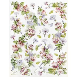 7852-7405 Pt クラッシックペーパー    105ーbis