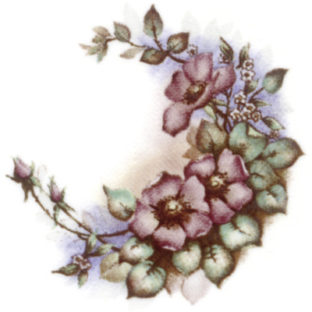 7060-6162 Pt トランスファープリント TPDー162