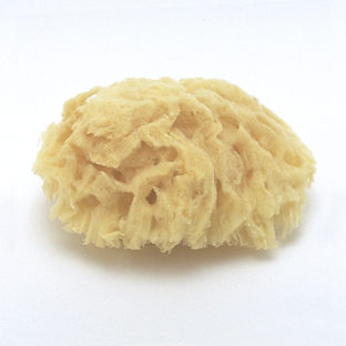 180-2002 シーコットン(SM) *