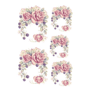 7247-2520 Pt Rikaデザイン トランスファーシール