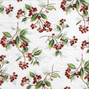 362-0314 Pt ペーパーナプキン  5枚入