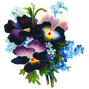 7000-1006 フラワー トランスファーシール  1006