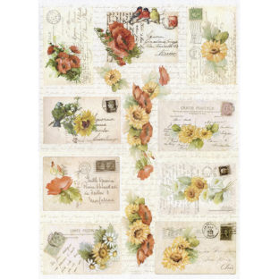 7855-5303 Pt ライスペーパー          5303