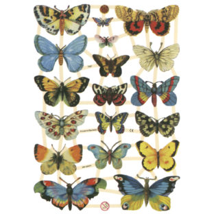 366-7297 Pt カットアウトプリント