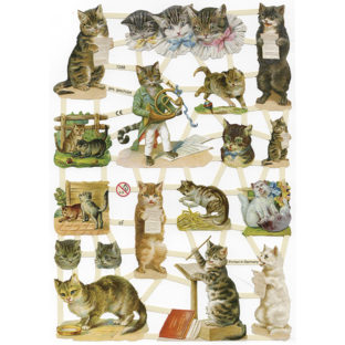 366-7288 Pt カットアウトプリント