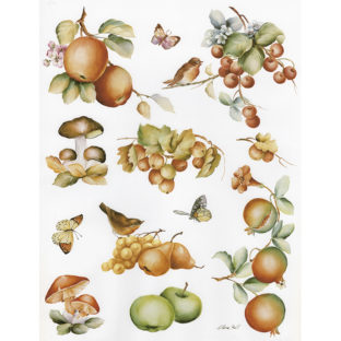 7852-7025 Pt クラッシックペーパー    025