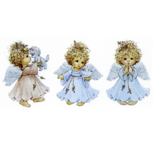 7060-6007 Pt トランスファープリント TPDー010C