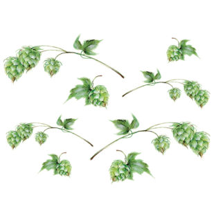 7196-1022 Pt 佐々木恵美 トランスシール 22