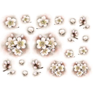 7196-1031 Pt 佐々木恵美 トランスシール 31