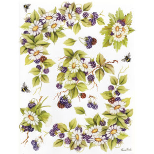 7852-7054 Pt クラッシックペーパー    054