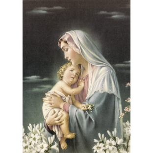 7852-1217 Pt デコパージュペーパー   S1217